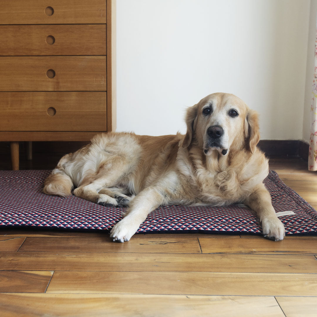 Cotton Dog beds India| Dog Mats for sleeping online India