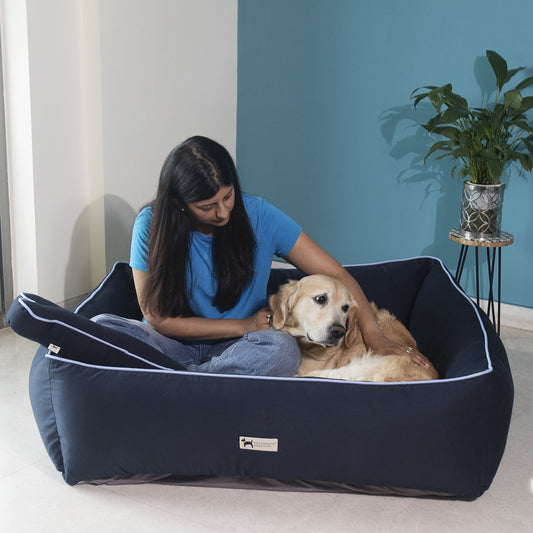 Large dog beds online India | Dog beds with removable covers