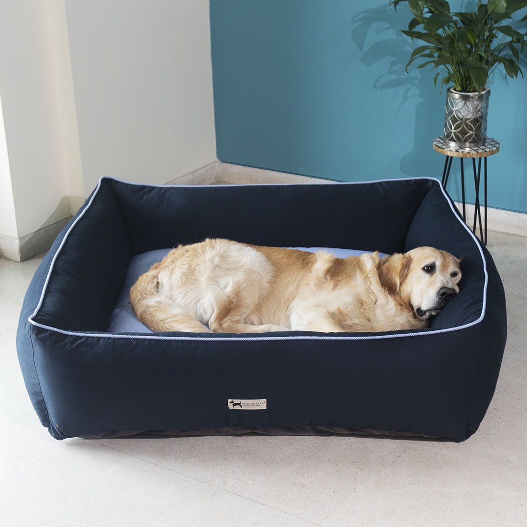 Best dog beds in India | Extra large dog beds online India
