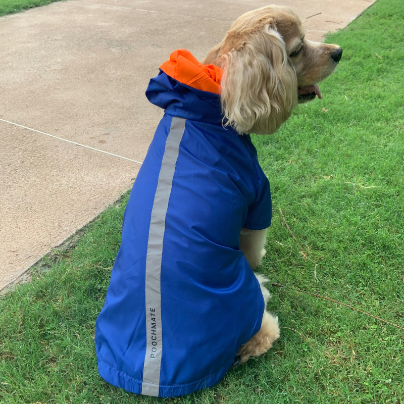 PoochMate Two Toned Rain Coat - Blue & Orange