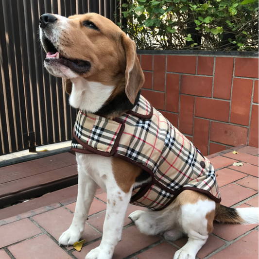 Fleece and Cotton Winter Coat for dogs | Burberry Print dog coat | PoochMate