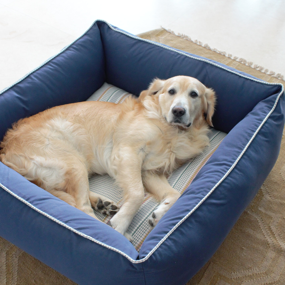 PoochMate Whitworth Stripe Bolster Dog Bed