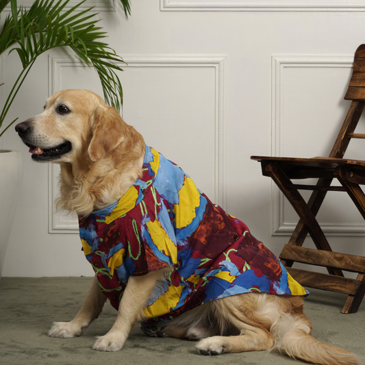 PoochMate X Advait : Portobello Dog Shirt