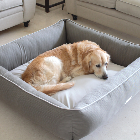 Dog bed for 2 large dogs discount