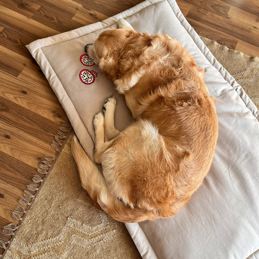 Crate & Travel mats for dogs | Sofa mats for dogs