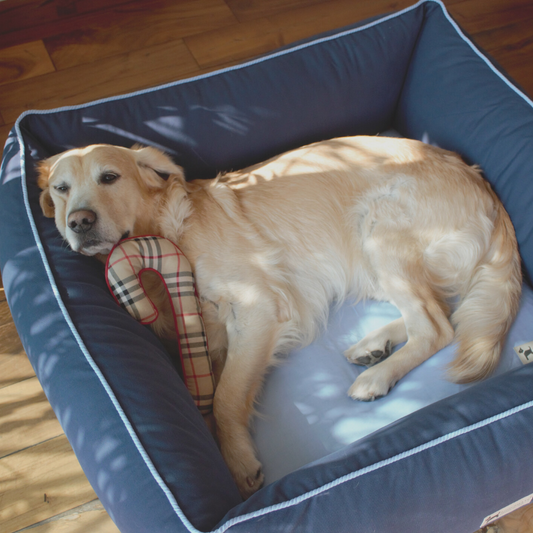 washable dog bed with removable cover