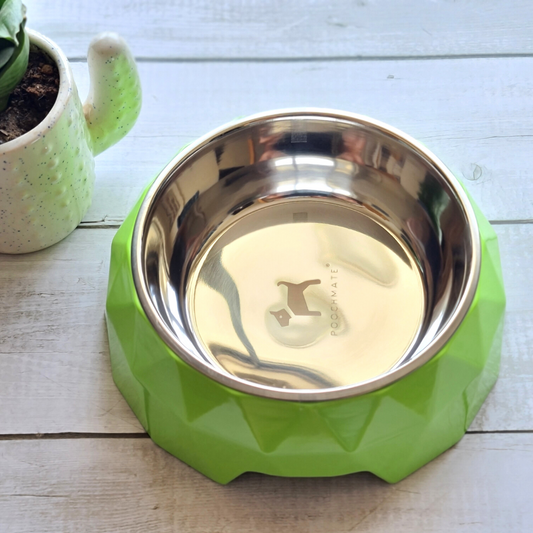 Melamine Dog Bowl | Stainless steel dog bowls India