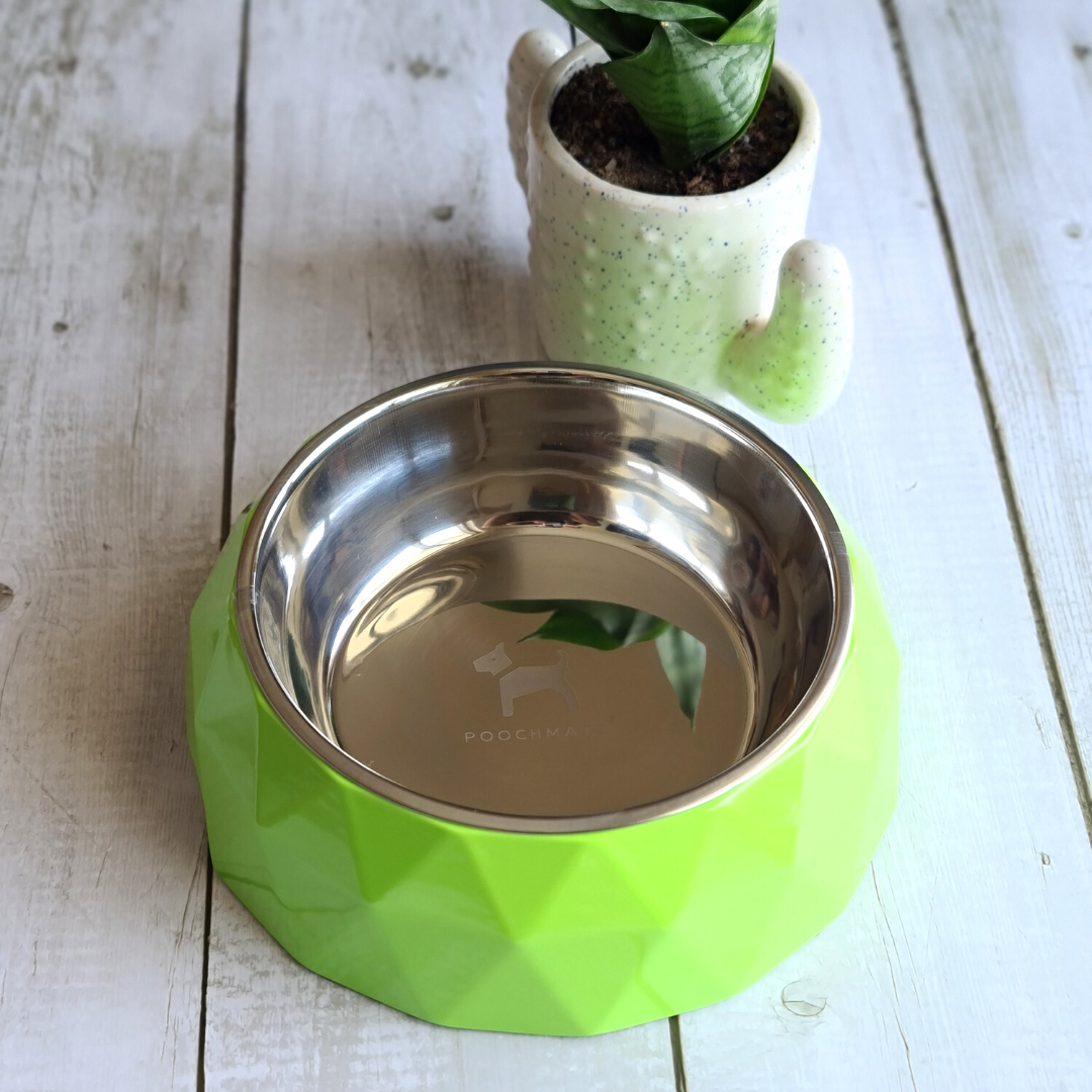 Designer dog bowls India | Geometrical dog bowls India
