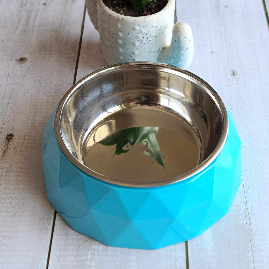 Designer dog bowls Online | Luxury dog bowls India