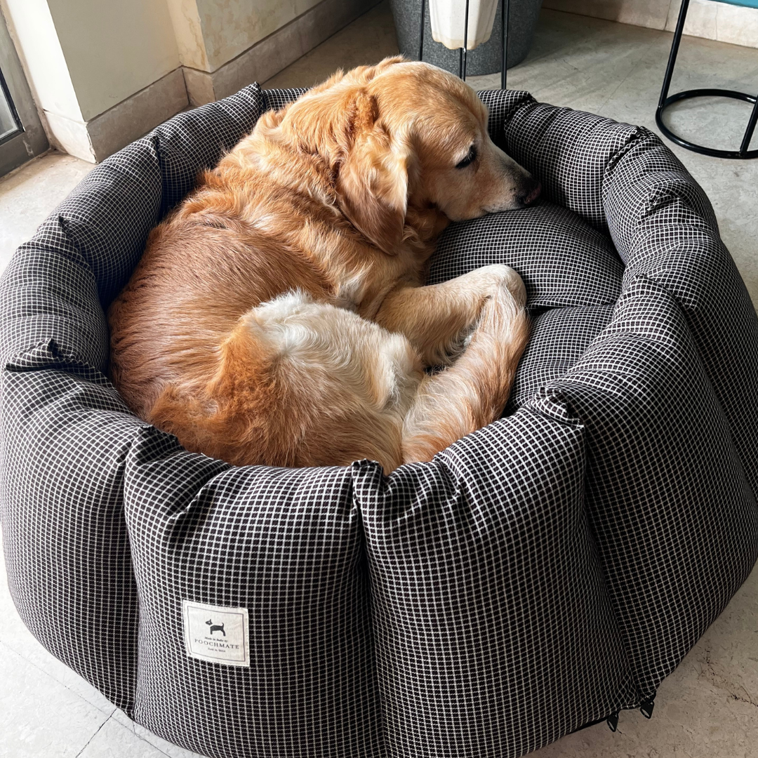 Round Dog Bed with raised sides | Washable Dog beds online India