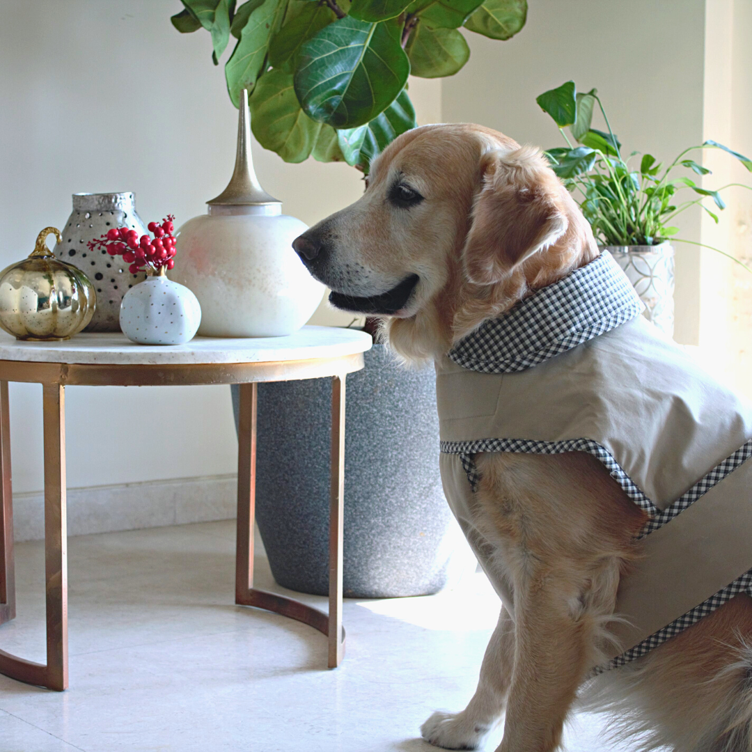 PoochMate Classic Beige Winter Coat Cotton Quilted Dog Winter Coats