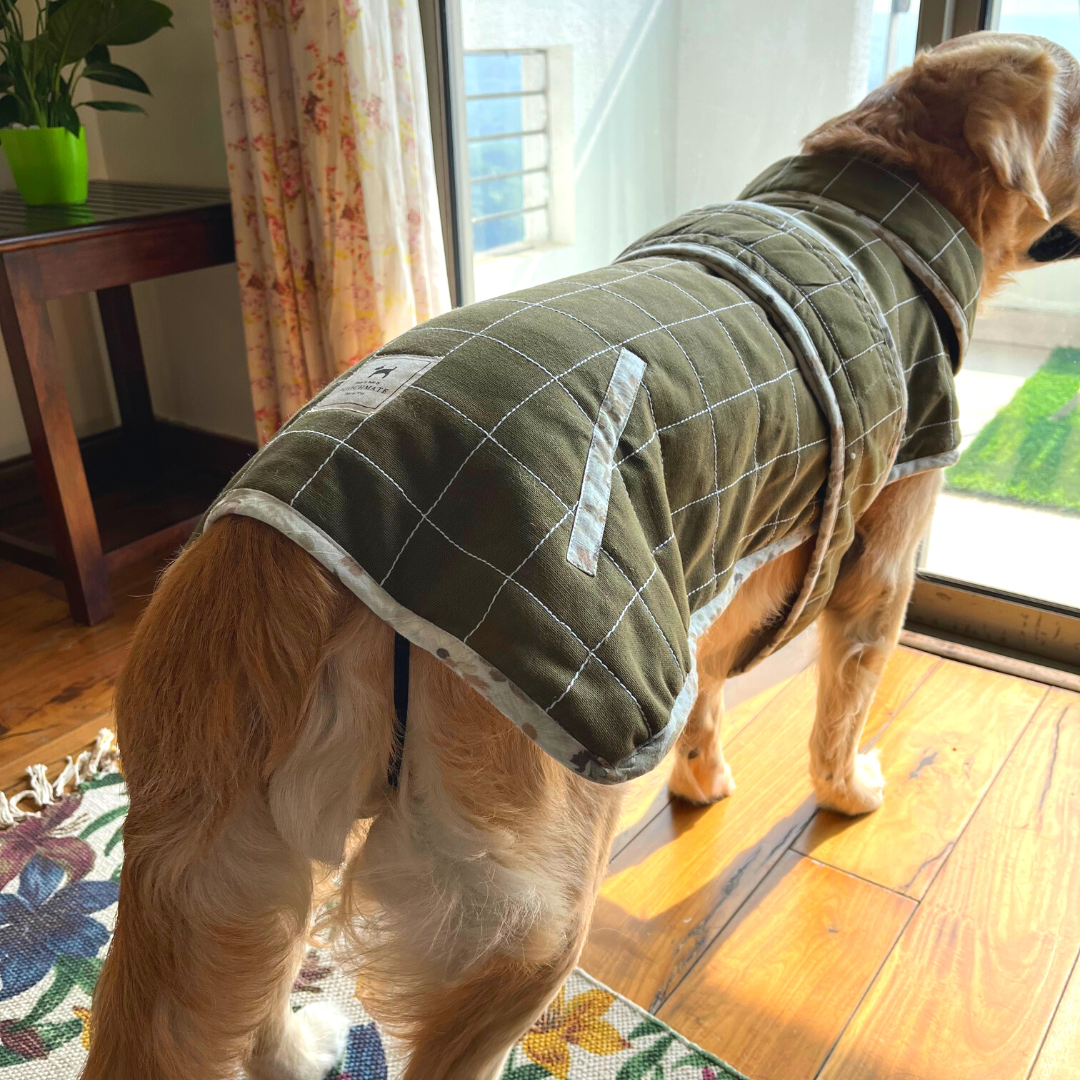 Quilted Dog Coats online India | Dog Clothes for winters 