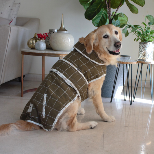 Winter Dog clothes online India | Dog Jackets India