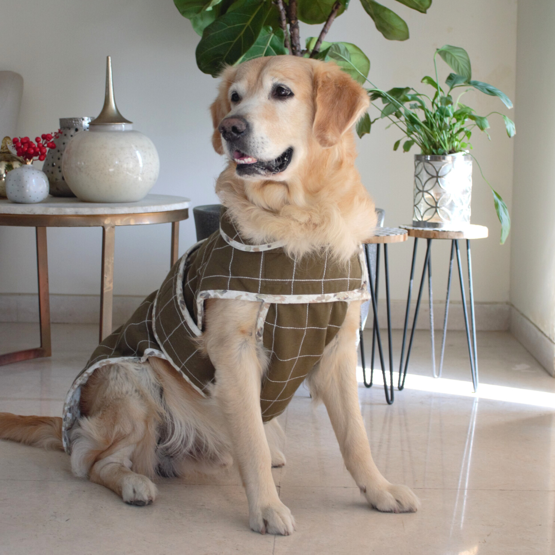 chest coverage dog jackets online India