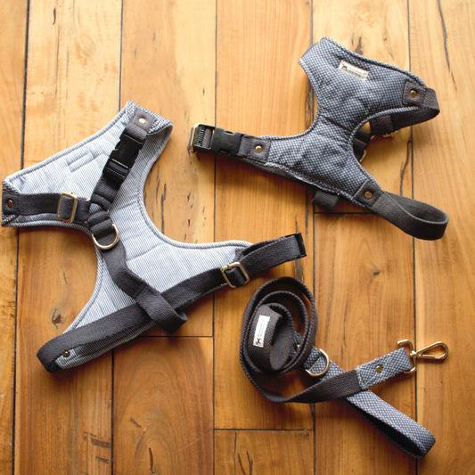 Cotton Chest Dog Harness | Body Belt for dogs online India