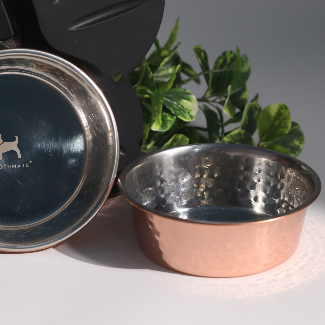 Hammered Copper Dog Bowls online India 