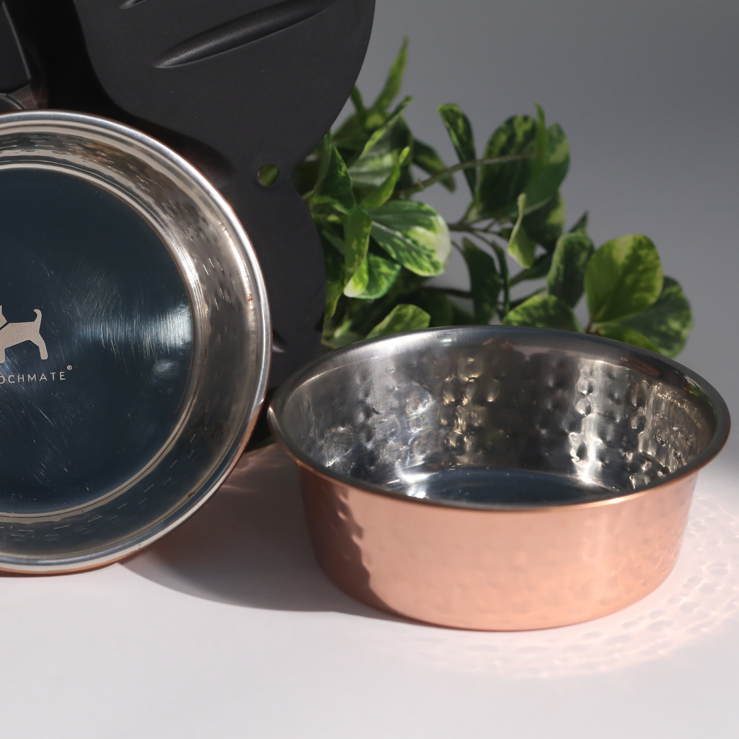 https://www.poochmate.com/cdn/shop/products/copperBowl.png?v=1654090700&width=1445