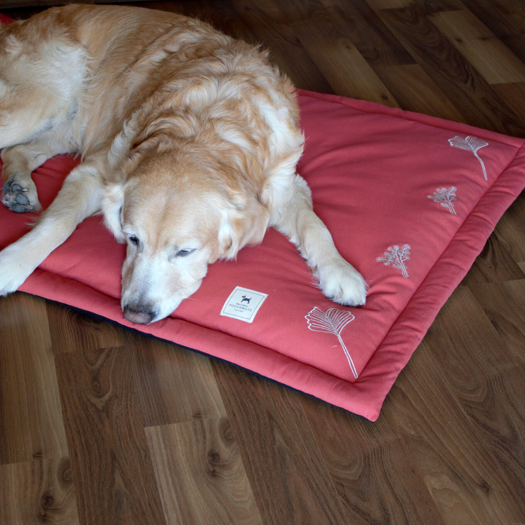 red dog mat online India | PoochMate dog beds