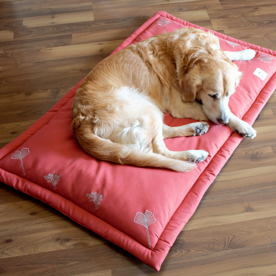 PoochMate pet mats | Best dog mats online India