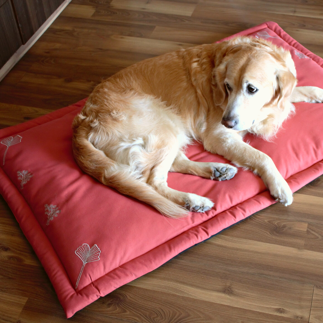 Cotton washable pet mats | Shop large pet mats online India
