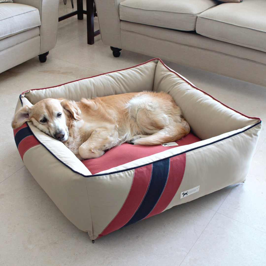 Best washable dog beds for large dogs| Best Dog Beds India