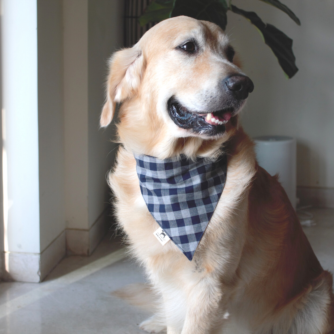 PoochMate Shepherd Checks Bandana for Dogs