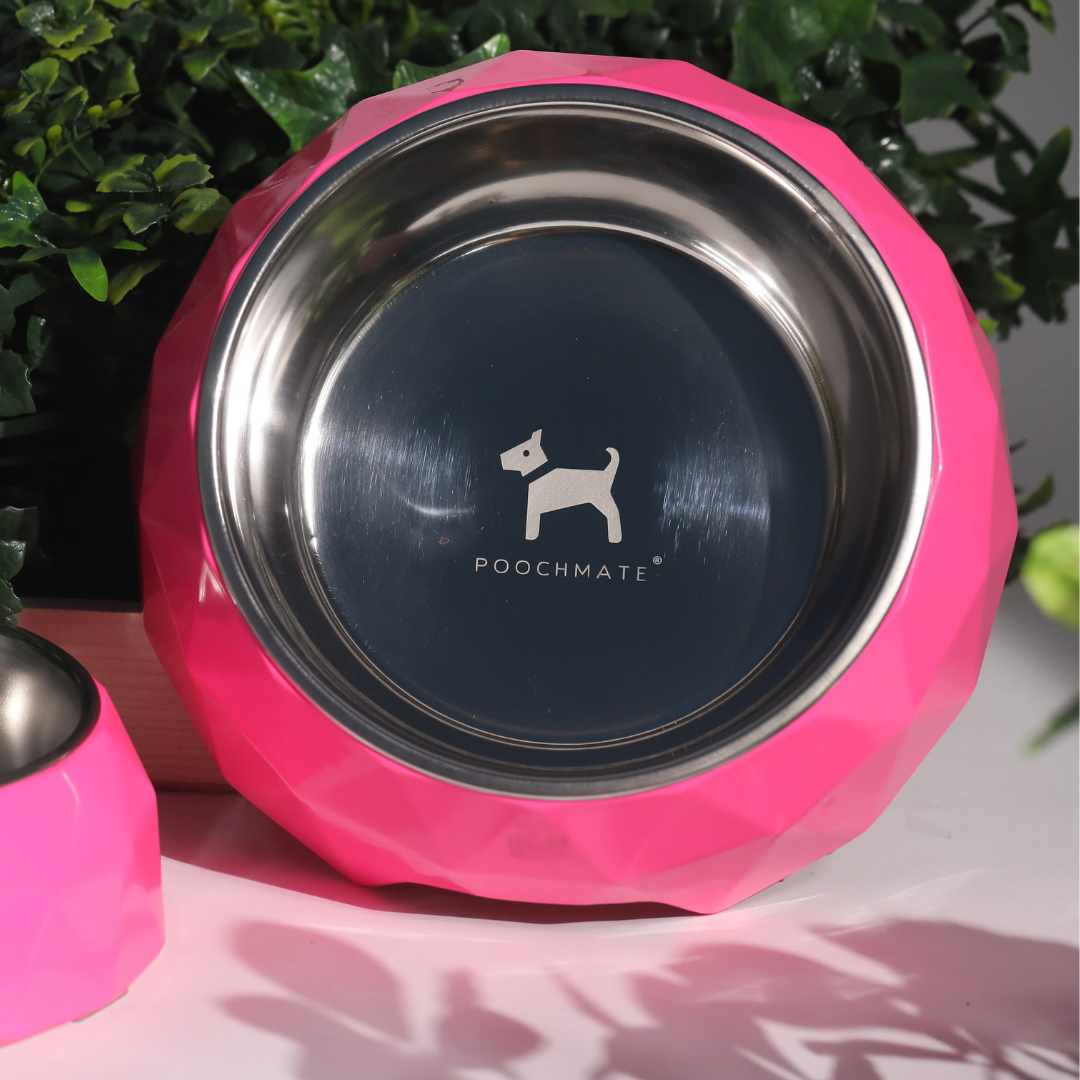 PoochMate Geometrical Bosco Bowl Stainless Steel dog bowls India
