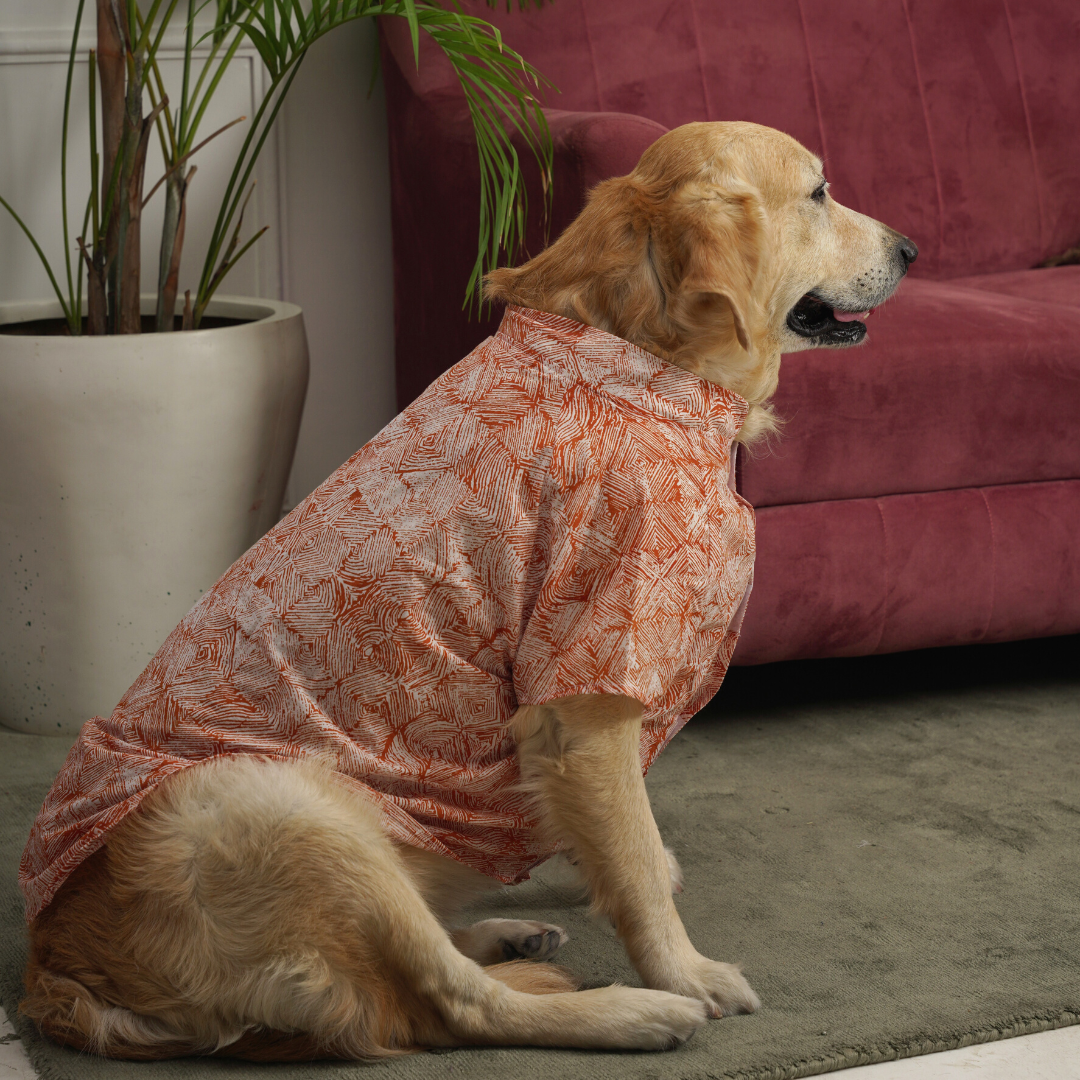 PoochMate X IDAM : Gazba Dog Shirt