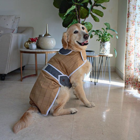 Quilted dog jackets online India | Dog winter clothes