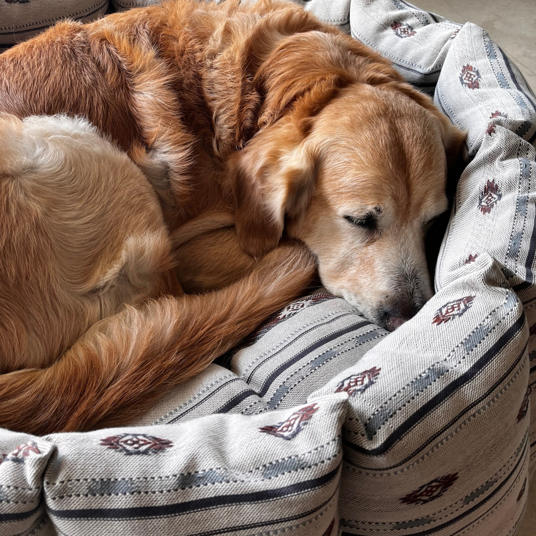 round beds for large dogs | dog beds with raised sides