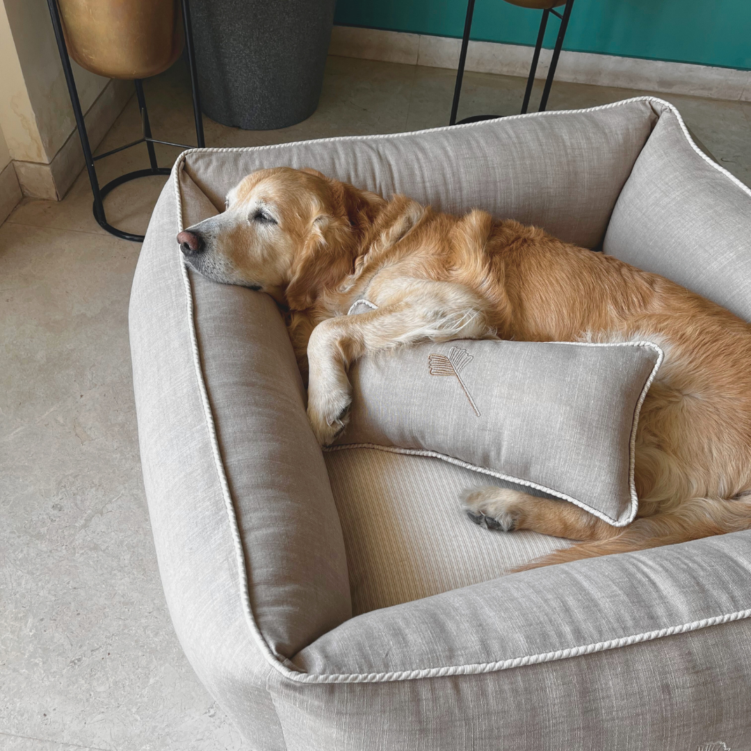 Light colour dog beds | Dog bed with name