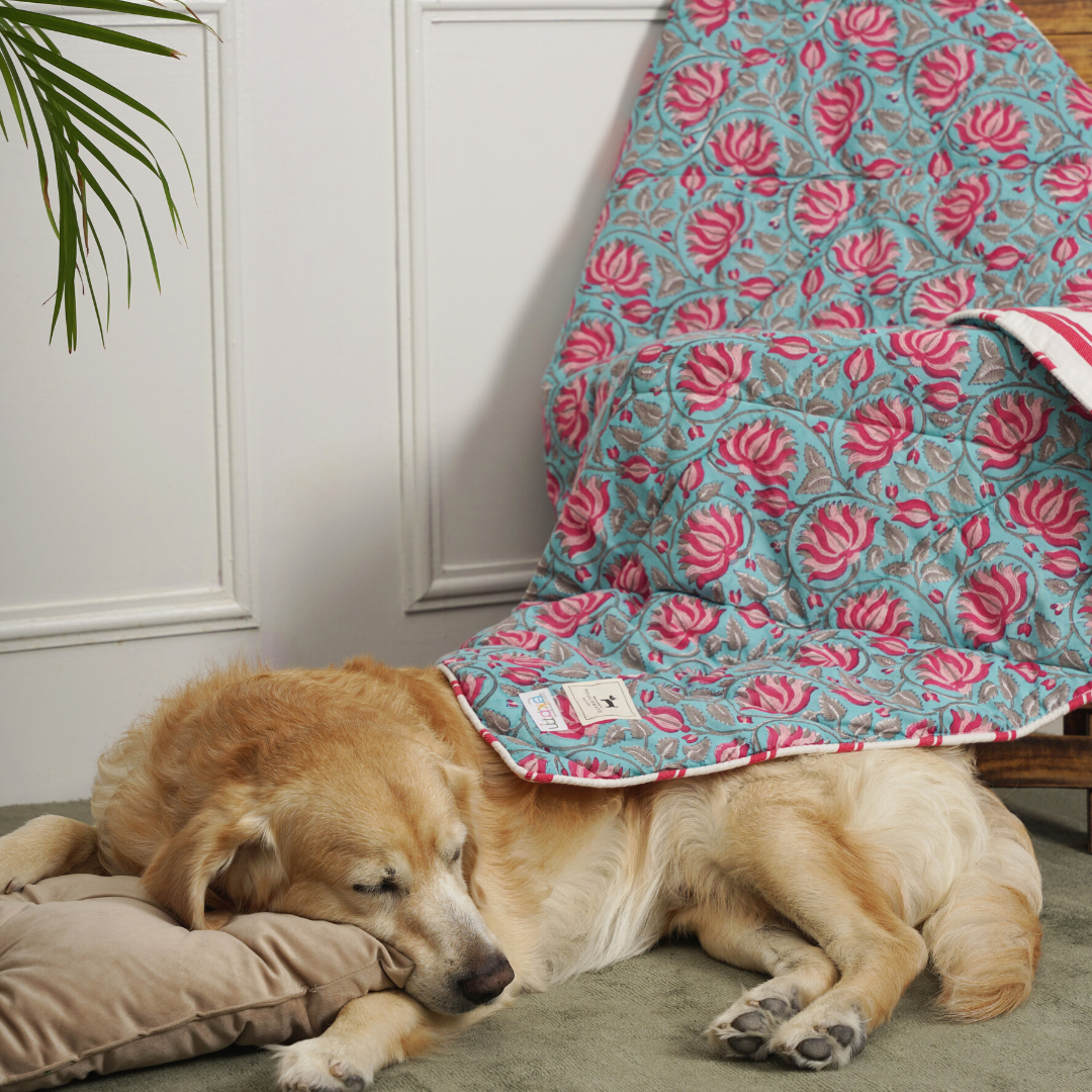 Pet Blankets online India| Blankets for dogs online India