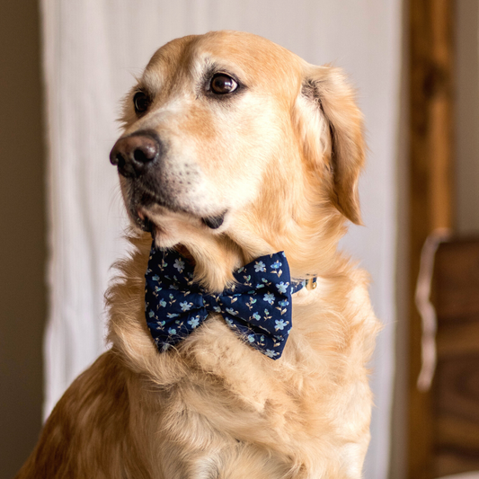 Dog discount neck bows