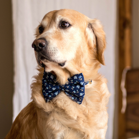 PoochMate Magnolia Blue Bow Tie for Dogs