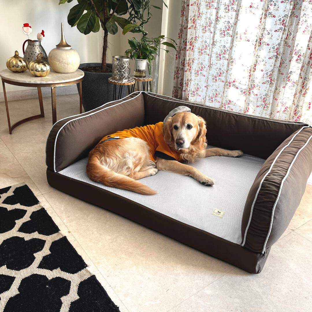 PoochMate Olive & Blue Stripe Memory Foam Sofa Dog Bed