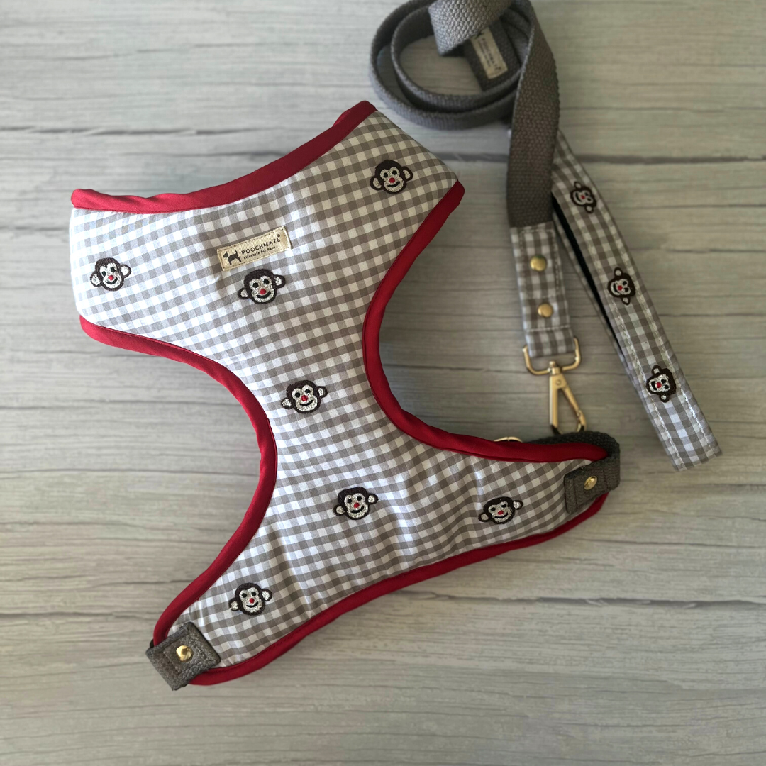 Dog Harness & Leash Set | Dog Body Harness India