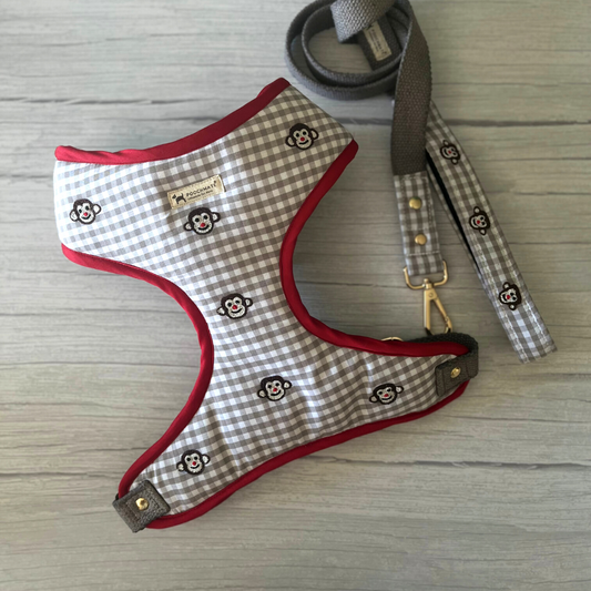 Dog Harness & Leash Set | Dog Body Harness India