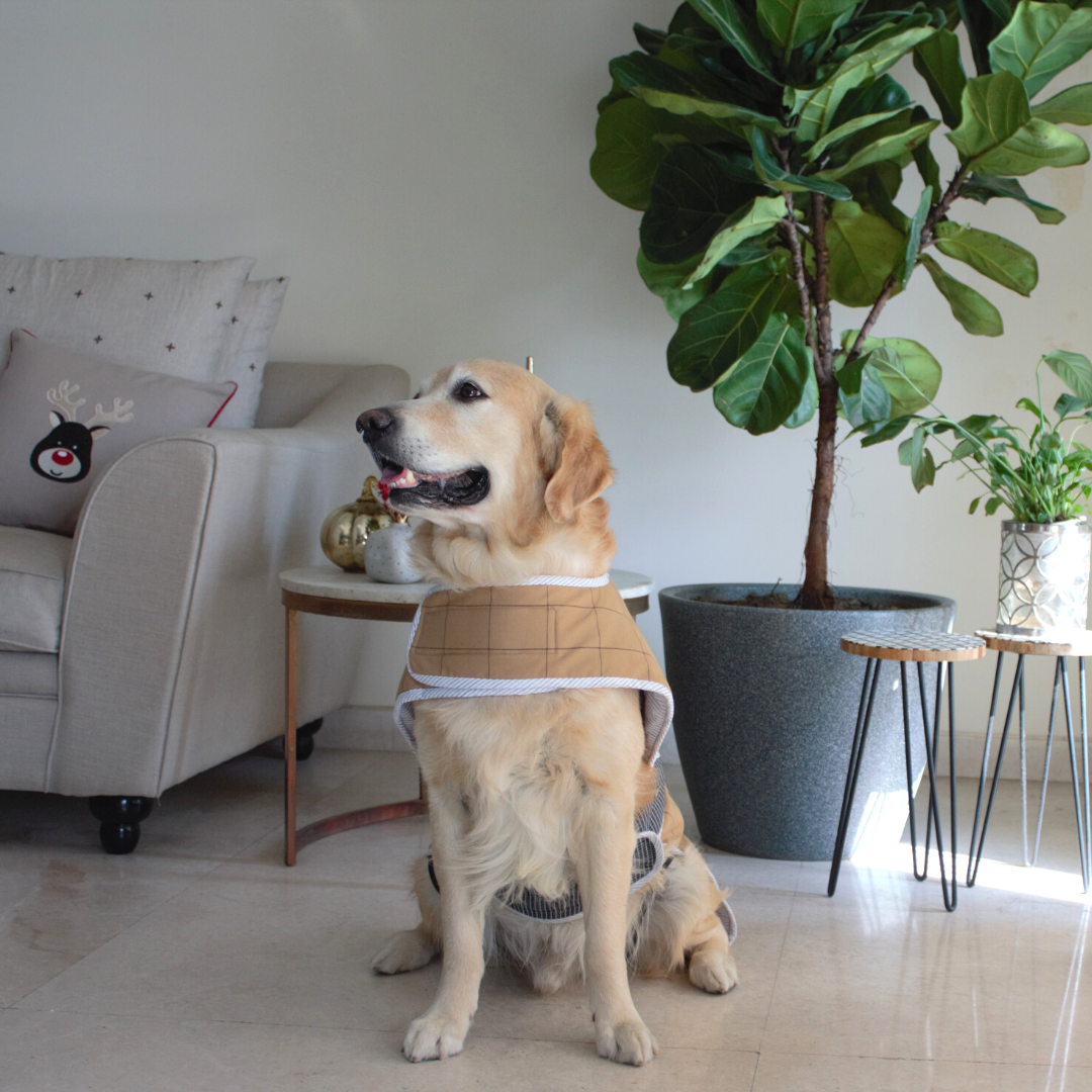 PoochMate Camel Square Winter Dog Coat Dog Jackets online India