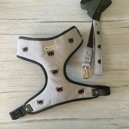Dog Harness & Lead Set online India