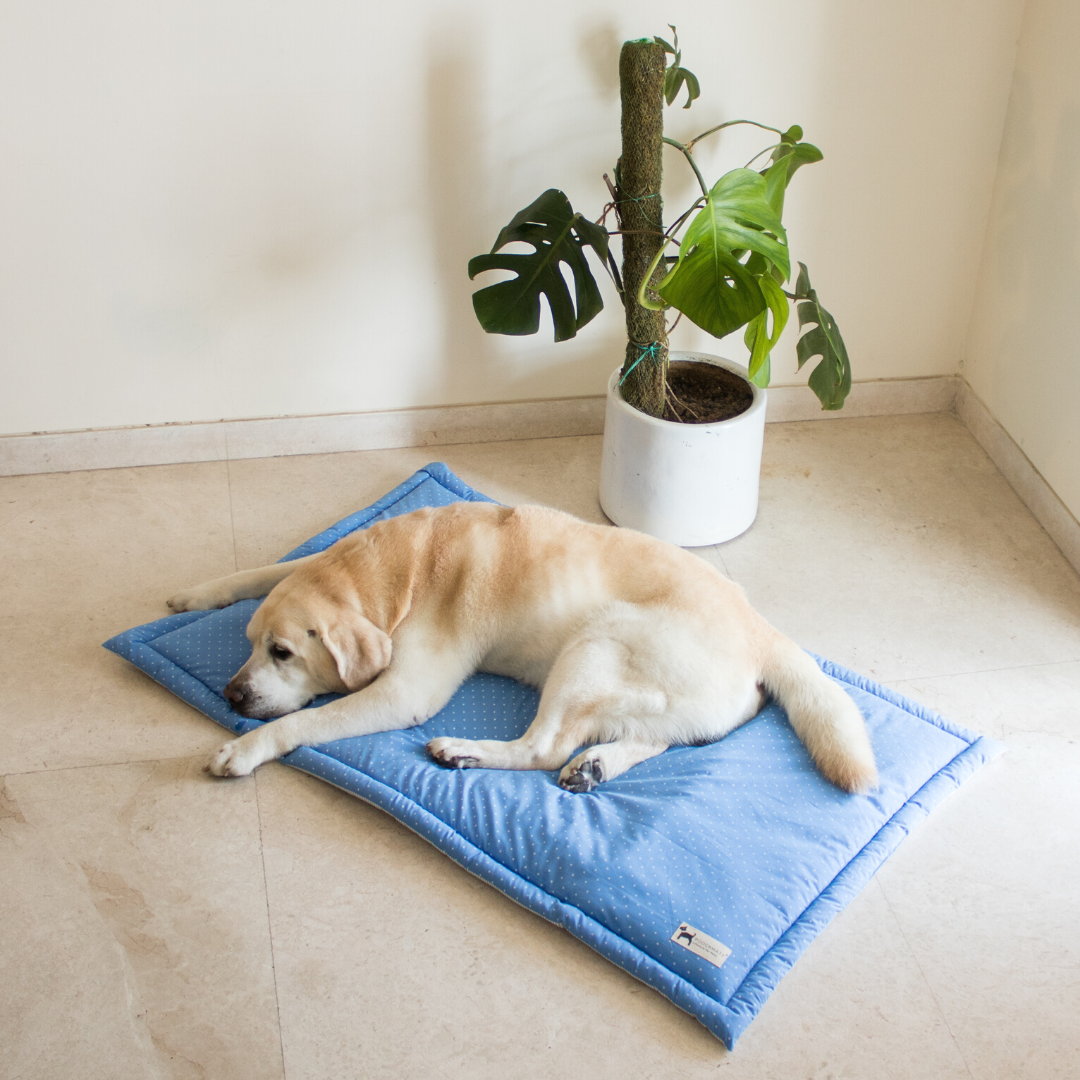 Cotton Washable Pet Mats Online India