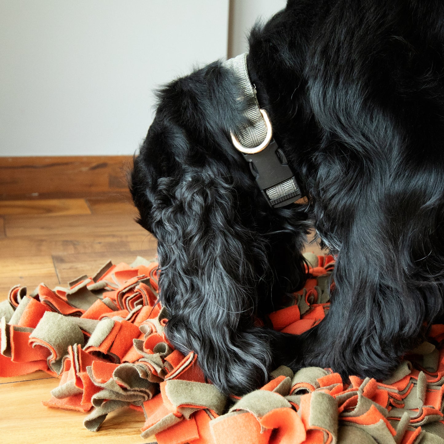 PoochMate Snuffle Dog Mat| Snuffle Mat | Snuffle Pet Mat