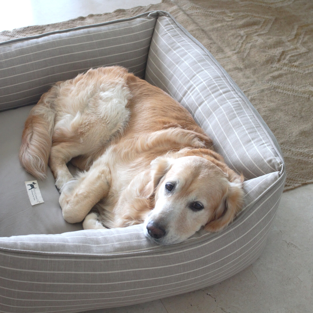 Linen dog beds | Linen dog beds online India