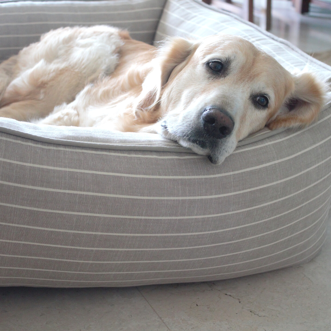 Light colour dog beds India | Pure linen dog bed India