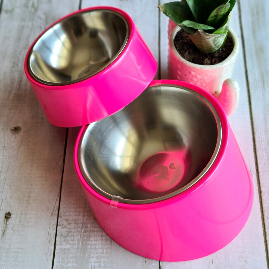 Slanted dog bowl | Dog Bowls India