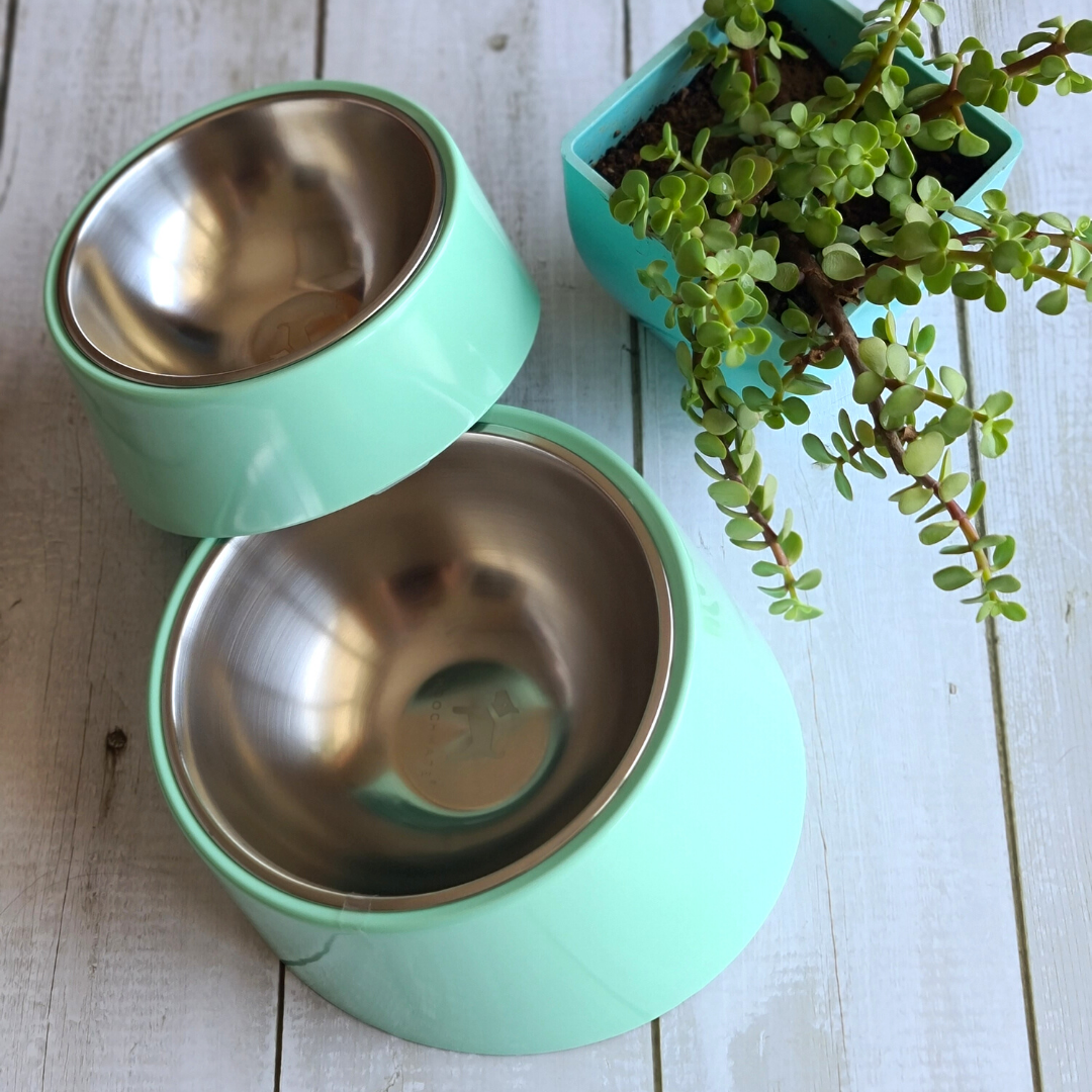Flat faced dog bowls | Bowls for flat face dogs India