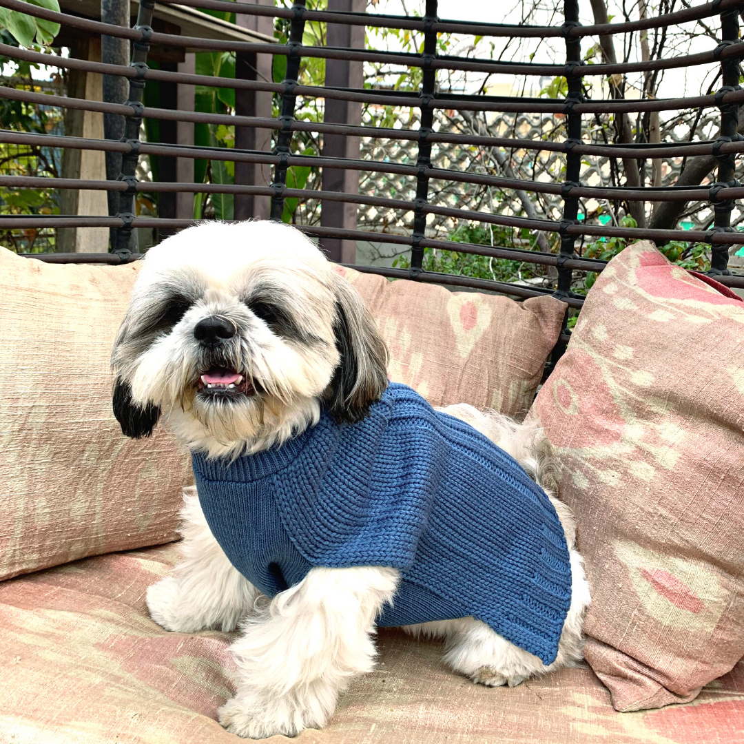 PoochMate Snug Bug Sweater - Blue