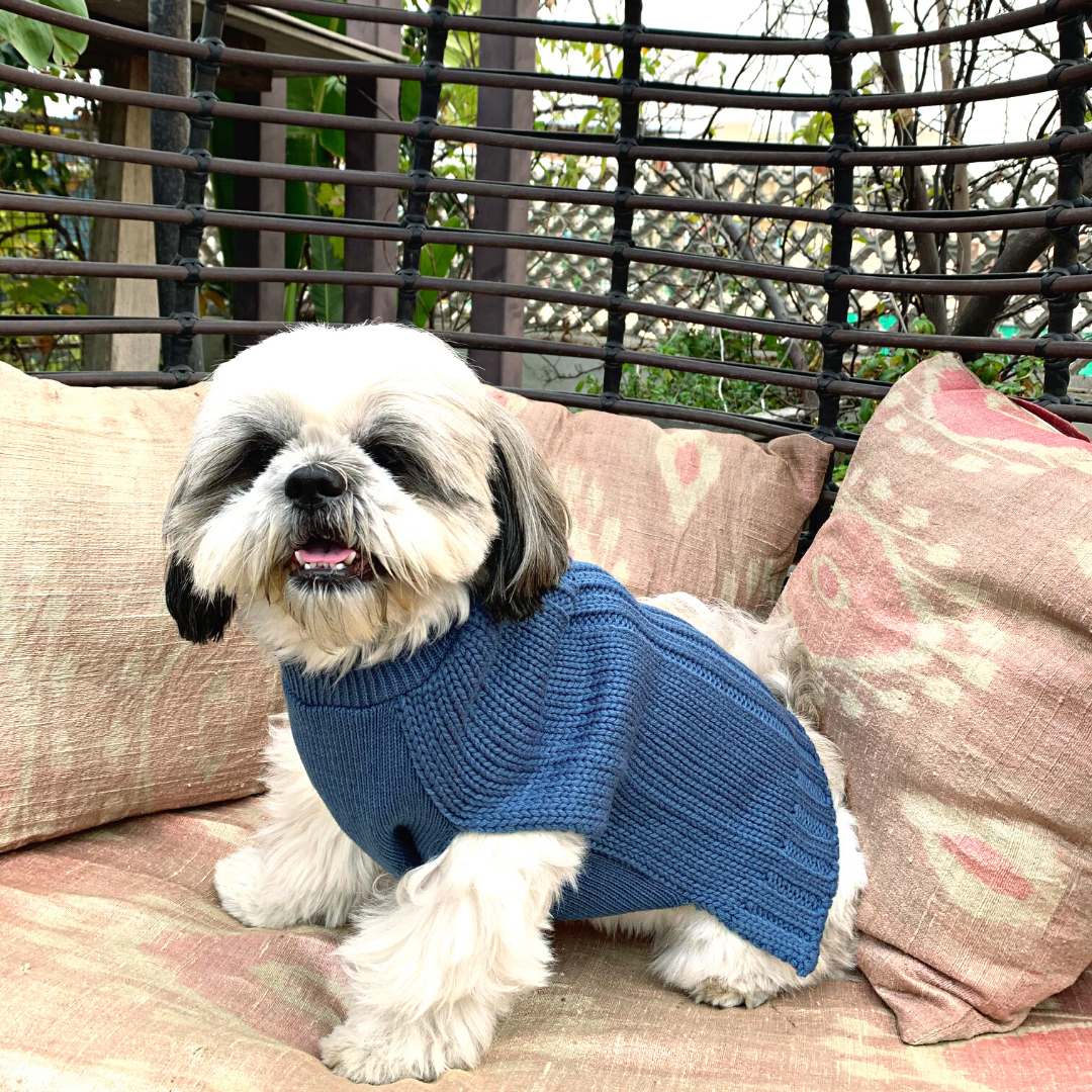 Shih tzu sweaters on sale