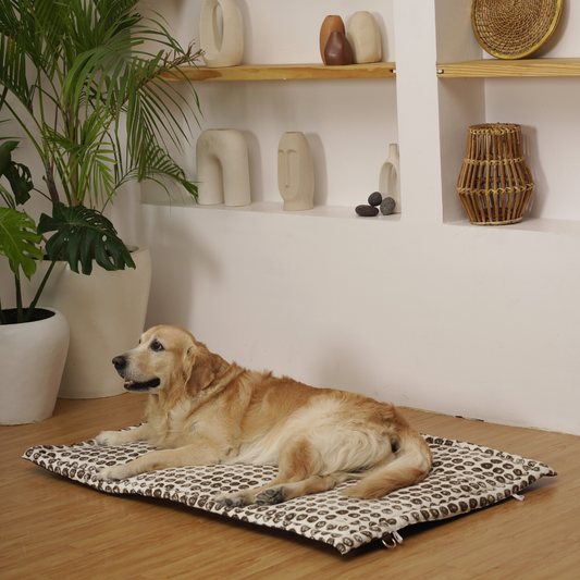 PM X IDAM : Sand Spot Travel Dog Mat