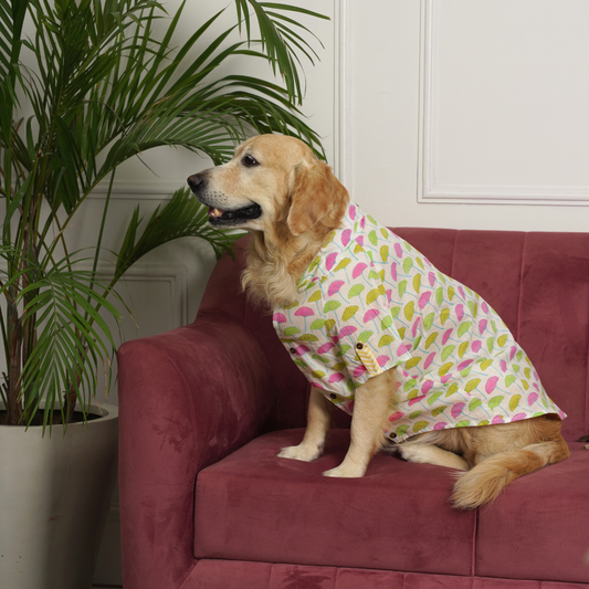 PoochMate X House of Ekam : Umbrella Dog Shirt